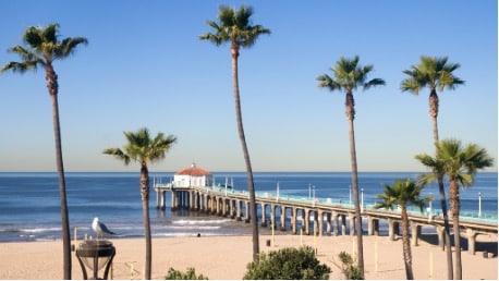 Leading Facial Plastic Surgeon & Sinus Specialist in Manhattan Beach, California