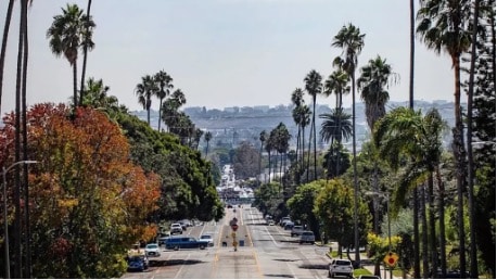 Leading Facial Plastic Surgeon & Sinus Specialist in Mar Vista, California
